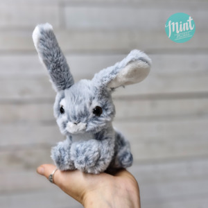Get Well Soon Click On Image: Mini Bunny Soft Toy