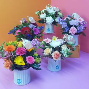 Christmas Flowers Gifts Delivered Whangarei And North Island Wide 2023: Ceramic Pot Arrangement