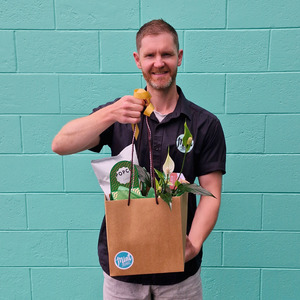 Holiday Collection 2025 | Peace & Pine Gift Bag