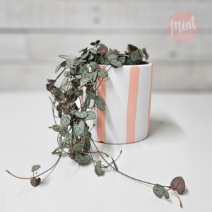 Chain of Hearts in Ceramic Pot