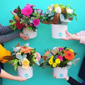 Florist Wildcard Pot Arrangement