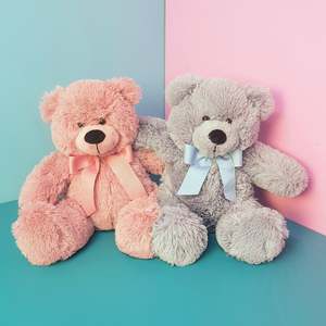 Birthday Click On Image: Large Plush Teddy Bear