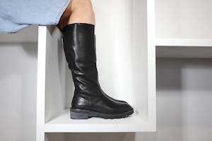 New Arrivals: Taylor