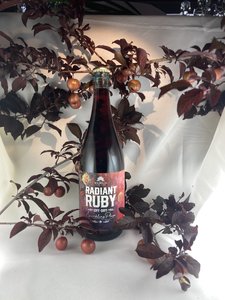 Radiant Ruby - Medium Sparkling Plum Wine - Mirabelle