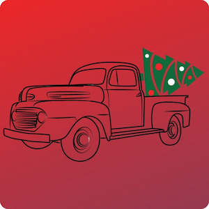 Auckland CBD Christmas Tree Removal