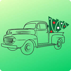 Central Suburbs Christmas Tree Removal