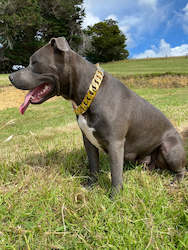 Mk Cuban Chain 32mm: MK Classic Edition Gold