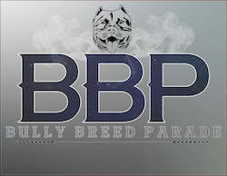New New New: BBP Shirt