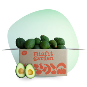 Veggie Boxes: Avocado Box