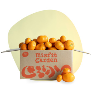 Gisborne Mandarin Box (3kg)
