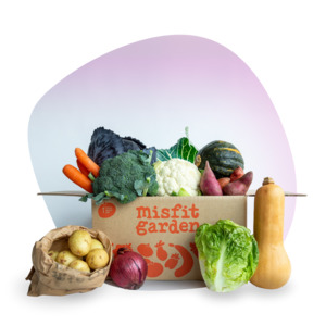 Veggie Boxes: Staples Box