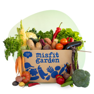 Veggie Boxes: Veg Only | Large