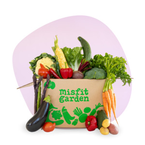 Veggie Boxes: Veg Only | Medium
