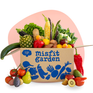 Veggie Boxes: Fruit & Veg | Large