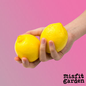 Weekly Add Ons: Add 600g Lemons