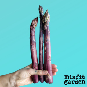 Weekly Add Ons: Add 250g Purple Asparagus