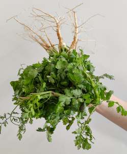 Add 100g Coriander