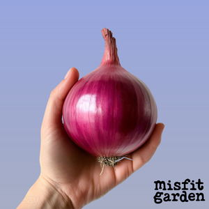 Weekly Add Ons: Add 600g Red Onions