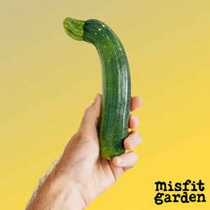 Weekly Add Ons: Add 400g NZ Courgette