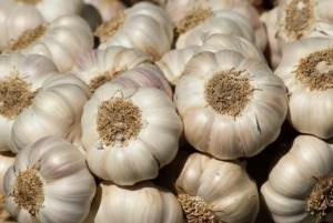 Weekly Add Ons: Add x1 Bulb Garlic (imported)