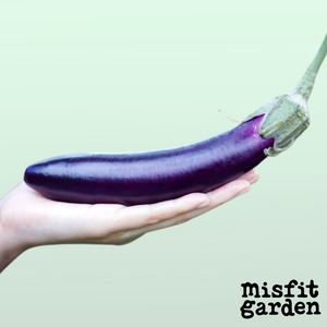 Weekly Add Ons: Add x2 Fijian Eggplants (NZ Grown)