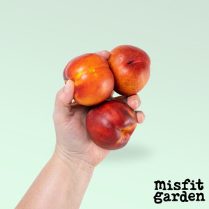 Weekly Add Ons: Add 600g Nectarines