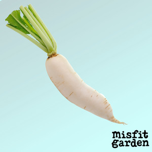 Weekly Add Ons: Add x1 Daikon