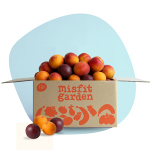 Fruit Boxes: Summer Stonefruit (3kg Mix)