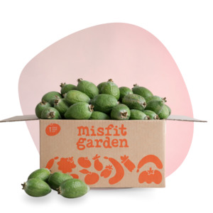 Feijoa Box (4kg)