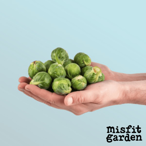South Island Add Ons: Add 400g Brussels Sprouts