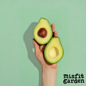 Add x3 Avocados