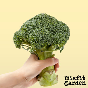 Add 1x Broccoli
