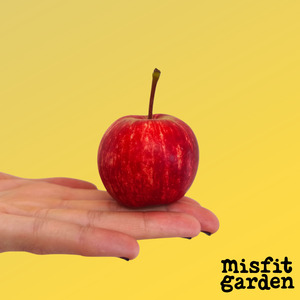 South Island Add Ons: Add 1kg Red Apples