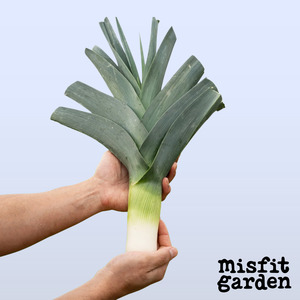 South Island Add Ons: Add 1x Leek