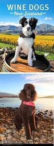 Products: Wine Dogs New Zealand (2)