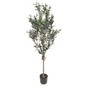 Gifts For Home: Artificial Olive Tree In Black Pot - 1.5mtr tall