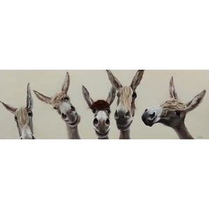 5 Donkeys Bad Hair Day Framed Canvas Art