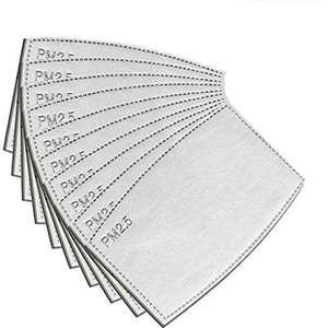 Face Masks: PM2.5 filter 10 pack Adult size