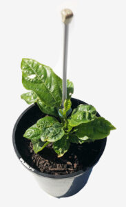 Products: Passion for the Mission – pick up only (Christchurch)