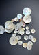 Agoya Shell Buttons