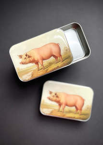 Vintage Pig Notions Tin