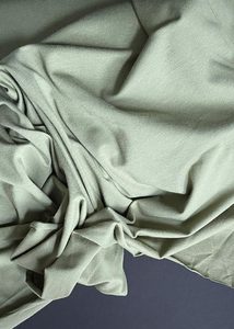 Medium Weight: Go To Organics - Jersey Knit, Fern Green