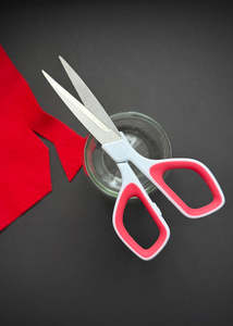 Everyday Hobby Scissors