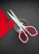 Everyday Hobby Scissors