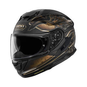 Street Commuting Motorcycle Gear: Shoei GT-Air 3 Helmet - Nile TC-9