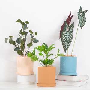 Oslo Style Stoneware Pots/Planter