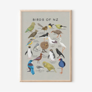 Art Prints: Birds of New Zealand | Art Print