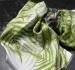 Sue Wickison Design – Satin Silk Scarve New Zealand Fern