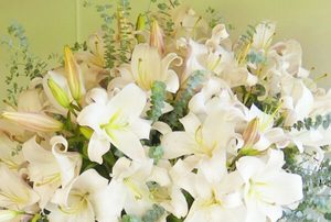 Products: Bridal Flower Gathering – A Blooming Celebration Before the Big Day