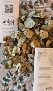 Dried Eucalyptus Leaves with Creative Ideas Booklet